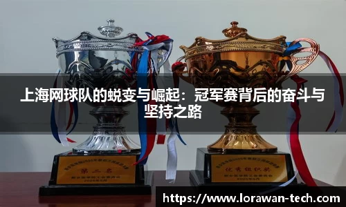上海网球队的蜕变与崛起：冠军赛背后的奋斗与坚持之路